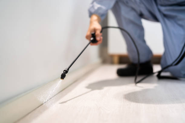 Certified termite inspector examining foundation in Kremmling